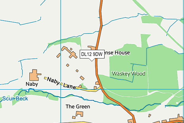 DL12 9DW map - OS VectorMap District (Ordnance Survey)