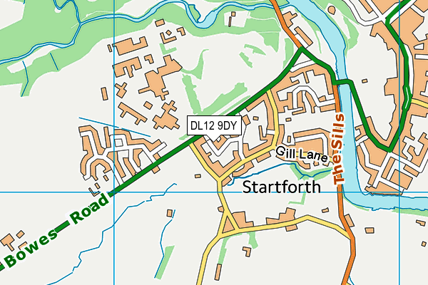 DL12 9DY map - OS VectorMap District (Ordnance Survey)