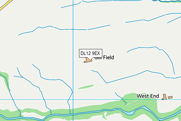 DL12 9EX map - OS VectorMap District (Ordnance Survey)