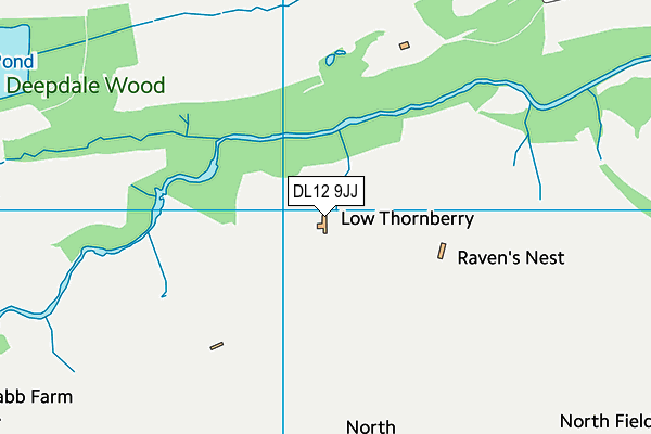 DL12 9JJ map - OS VectorMap District (Ordnance Survey)