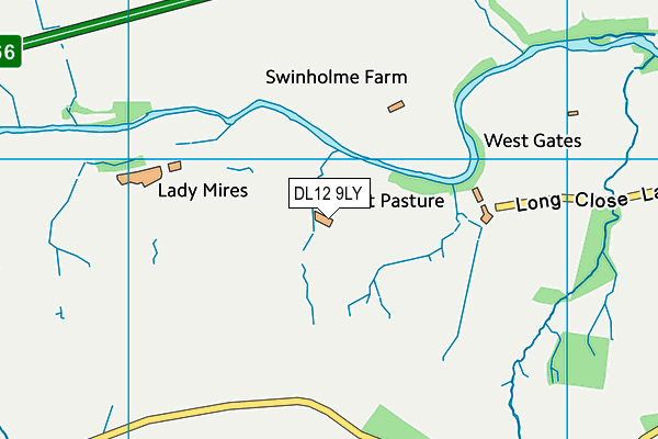 DL12 9LY map - OS VectorMap District (Ordnance Survey)