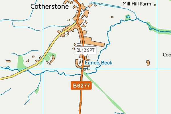 DL12 9PT map - OS VectorMap District (Ordnance Survey)