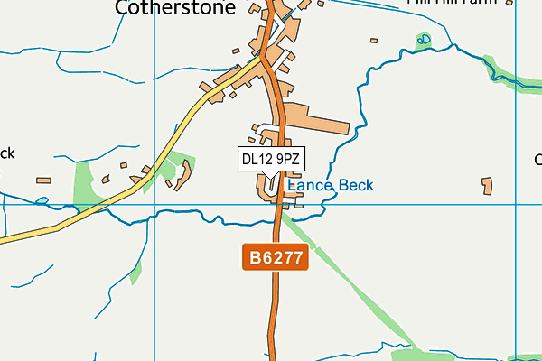 DL12 9PZ map - OS VectorMap District (Ordnance Survey)