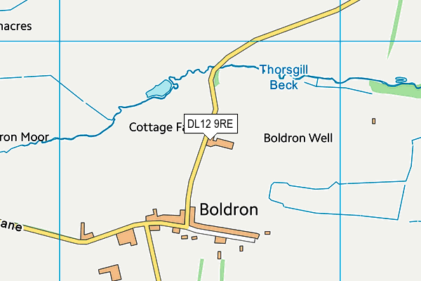 DL12 9RE map - OS VectorMap District (Ordnance Survey)