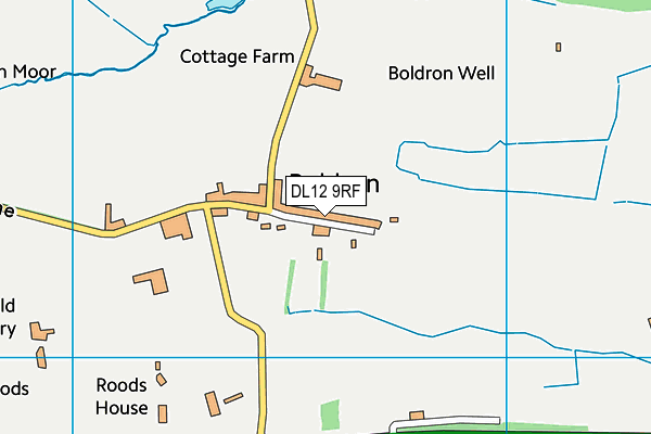 DL12 9RF map - OS VectorMap District (Ordnance Survey)