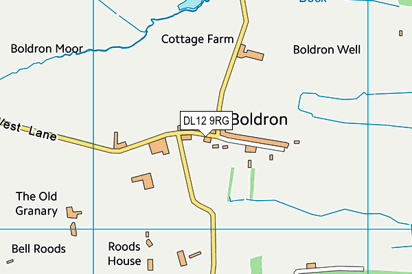 DL12 9RG map - OS VectorMap District (Ordnance Survey)