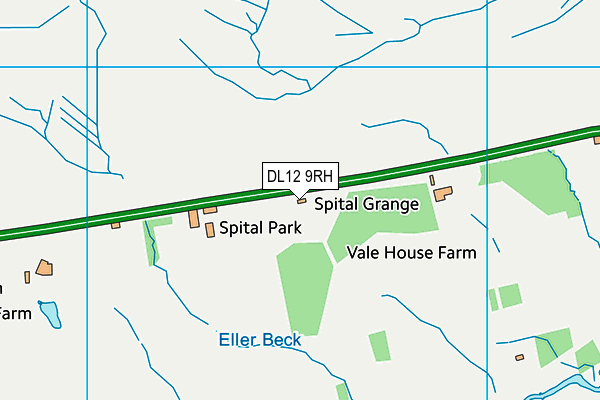 DL12 9RH map - OS VectorMap District (Ordnance Survey)