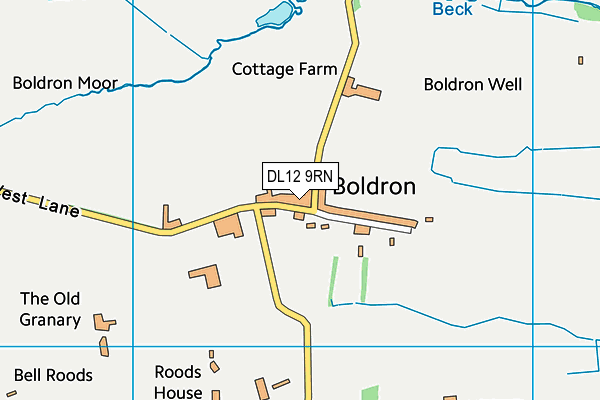 DL12 9RN map - OS VectorMap District (Ordnance Survey)