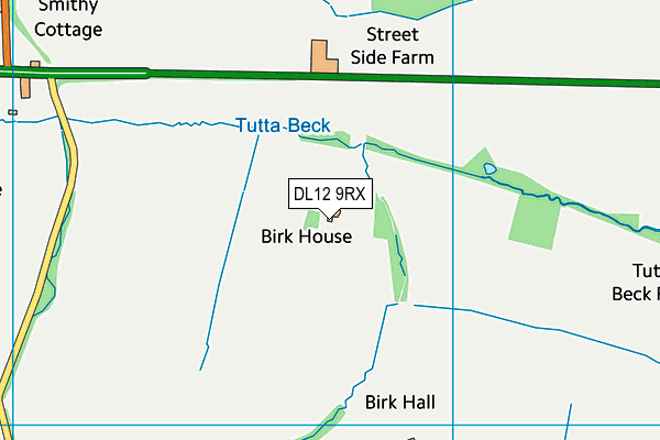 DL12 9RX map - OS VectorMap District (Ordnance Survey)