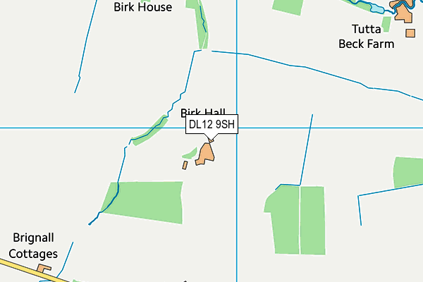 DL12 9SH map - OS VectorMap District (Ordnance Survey)