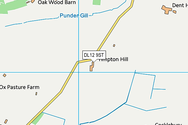 DL12 9ST map - OS VectorMap District (Ordnance Survey)