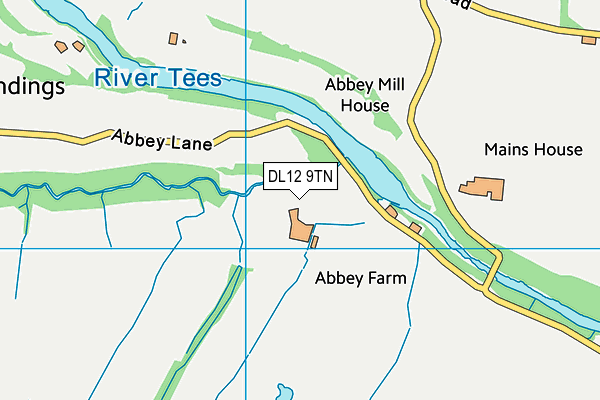 DL12 9TN map - OS VectorMap District (Ordnance Survey)