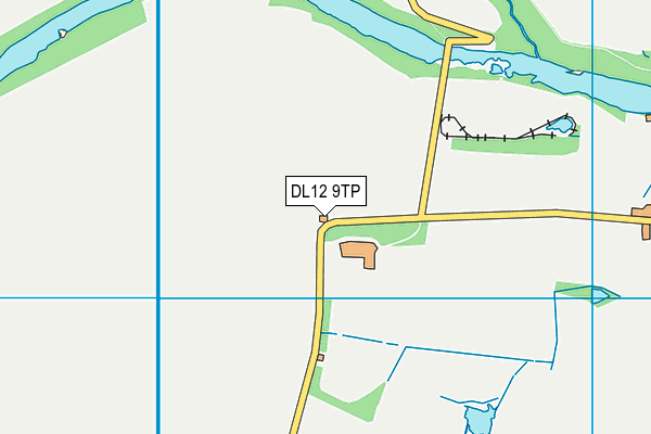 DL12 9TP map - OS VectorMap District (Ordnance Survey)