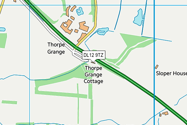 DL12 9TZ map - OS VectorMap District (Ordnance Survey)