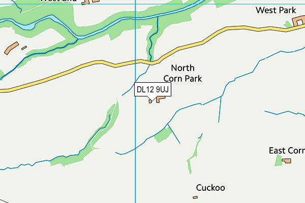 DL12 9UJ map - OS VectorMap District (Ordnance Survey)