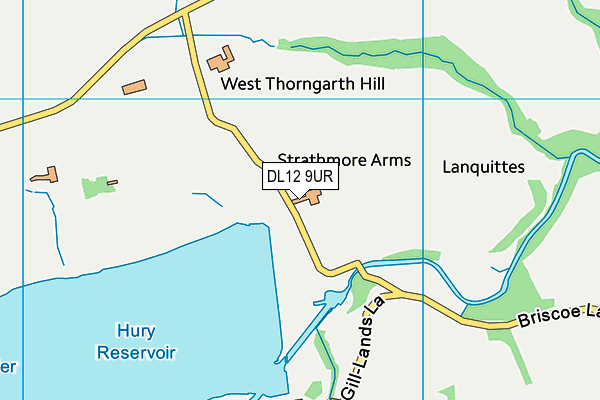 DL12 9UR map - OS VectorMap District (Ordnance Survey)