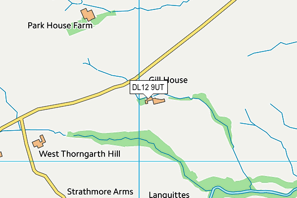 DL12 9UT map - OS VectorMap District (Ordnance Survey)