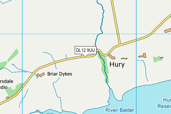 DL12 9UU map - OS VectorMap District (Ordnance Survey)