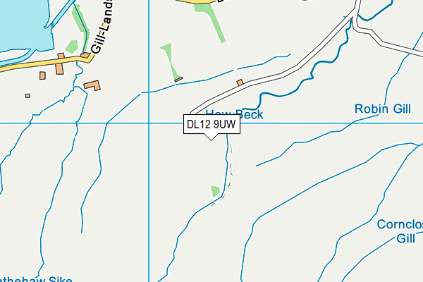 DL12 9UW map - OS VectorMap District (Ordnance Survey)