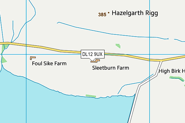 DL12 9UX map - OS VectorMap District (Ordnance Survey)