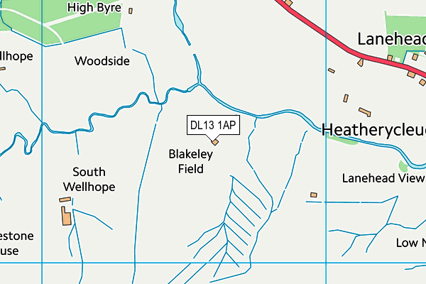DL13 1AP map - OS VectorMap District (Ordnance Survey)