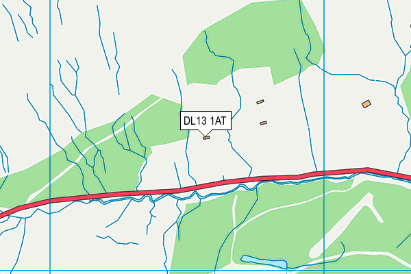DL13 1AT map - OS VectorMap District (Ordnance Survey)