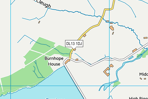 DL13 1DJ map - OS VectorMap District (Ordnance Survey)