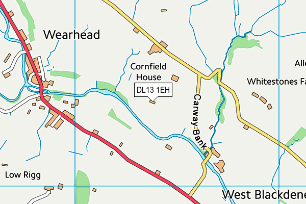 DL13 1EH map - OS VectorMap District (Ordnance Survey)