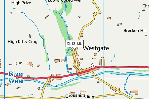DL13 1JU map - OS VectorMap District (Ordnance Survey)