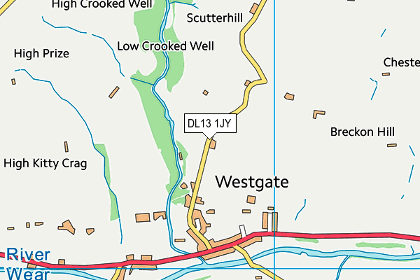 DL13 1JY map - OS VectorMap District (Ordnance Survey)