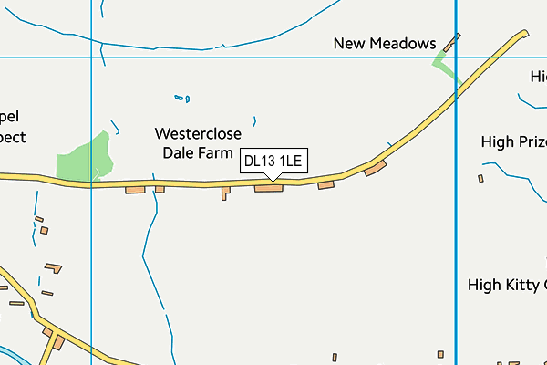 DL13 1LE map - OS VectorMap District (Ordnance Survey)