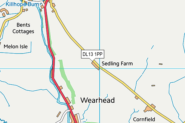 DL13 1PP map - OS VectorMap District (Ordnance Survey)