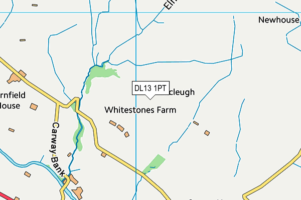 DL13 1PT map - OS VectorMap District (Ordnance Survey)