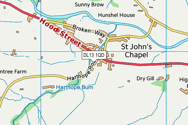 DL13 1QD map - OS VectorMap District (Ordnance Survey)