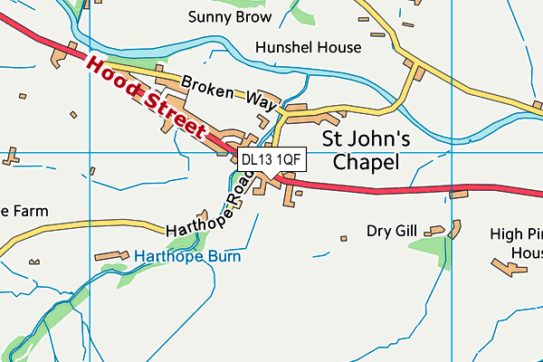 DL13 1QF map - OS VectorMap District (Ordnance Survey)