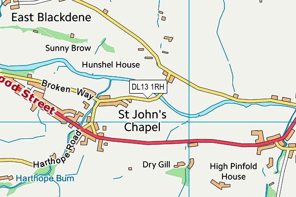 DL13 1RH map - OS VectorMap District (Ordnance Survey)
