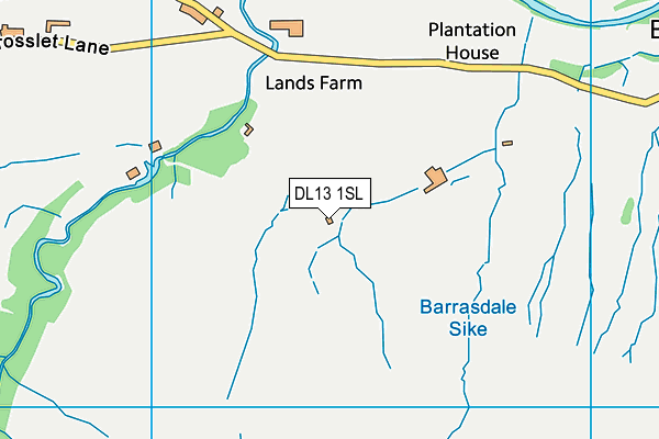 DL13 1SL map - OS VectorMap District (Ordnance Survey)