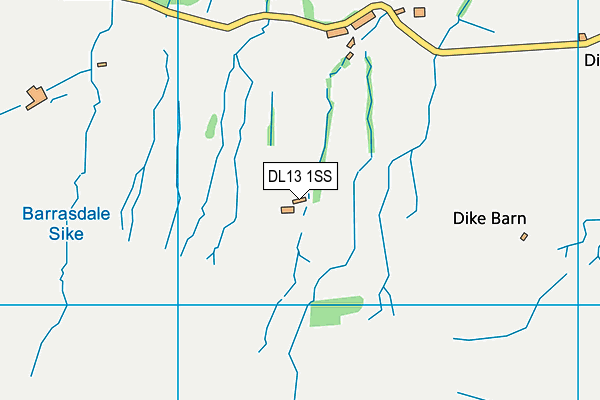 DL13 1SS map - OS VectorMap District (Ordnance Survey)