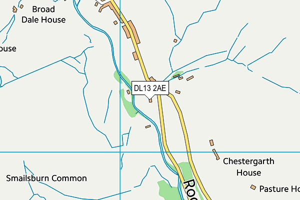 DL13 2AE map - OS VectorMap District (Ordnance Survey)