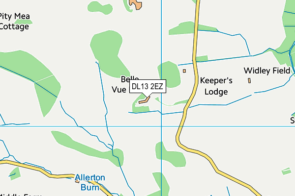 DL13 2EZ map - OS VectorMap District (Ordnance Survey)