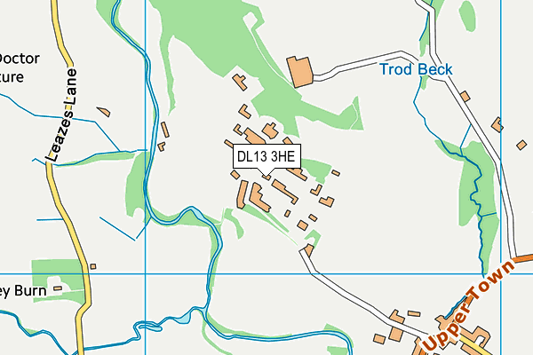 DL13 3HE map - OS VectorMap District (Ordnance Survey)