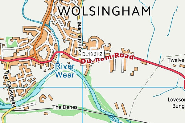DL13 3HZ map - OS VectorMap District (Ordnance Survey)