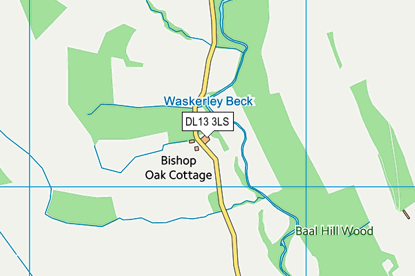 DL13 3LS map - OS VectorMap District (Ordnance Survey)