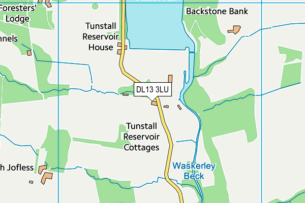 DL13 3LU map - OS VectorMap District (Ordnance Survey)