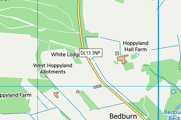 DL13 3NP map - OS VectorMap District (Ordnance Survey)