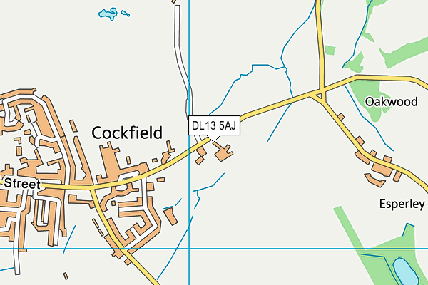 DL13 5AJ map - OS VectorMap District (Ordnance Survey)