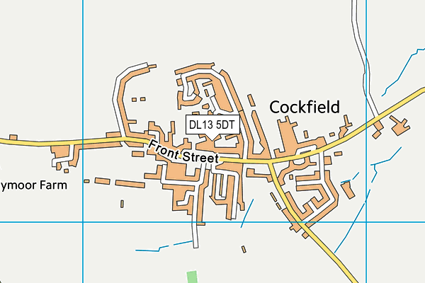 DL13 5DT map - OS VectorMap District (Ordnance Survey)