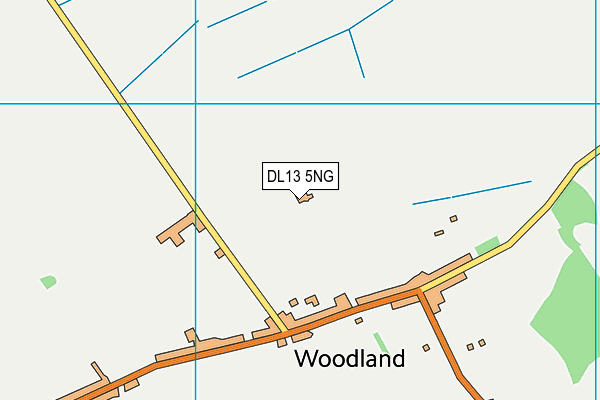 DL13 5NG map - OS VectorMap District (Ordnance Survey)