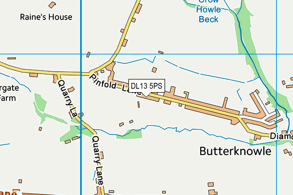 DL13 5PS map - OS VectorMap District (Ordnance Survey)