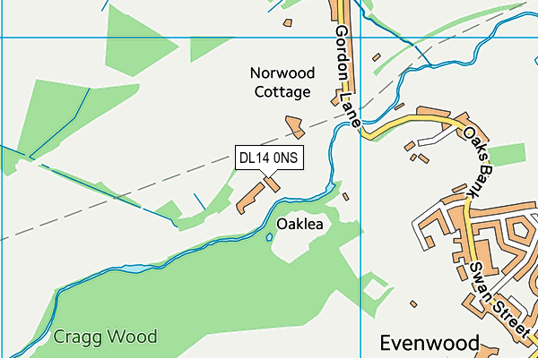 DL14 0NS map - OS VectorMap District (Ordnance Survey)